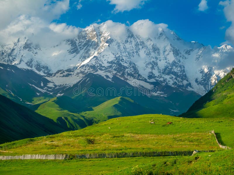 Beautiful meadow landscape near Ushguli, Svaneti, Georgia.