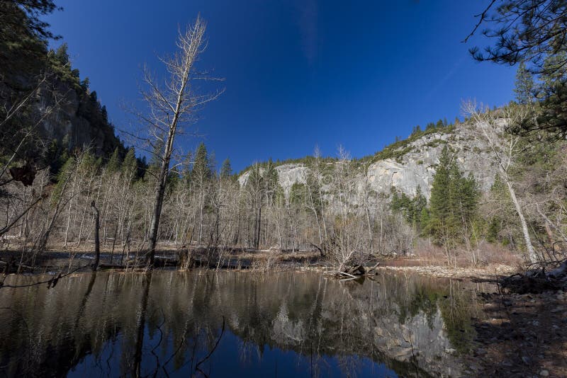The Beautiful Merced River in Yosemite National Park Stock Image ...