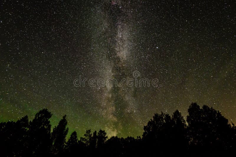 Beautiful milky way galaxy on a night sky and silhouette of tree