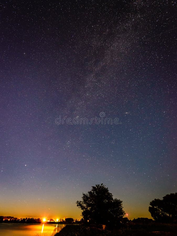 Beautiful milky way galaxy on a night sky and silhouette of tree