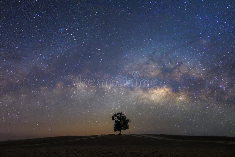 Beautiful milky way with a single treebackground.Landscape with