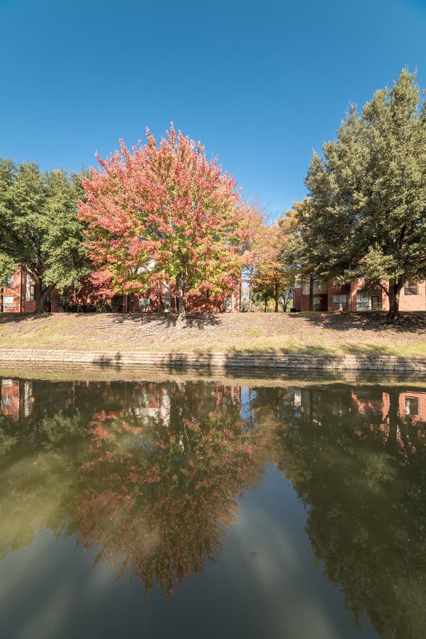 Typical Multistory Riverside Apartment Complex with Fall Foliage in