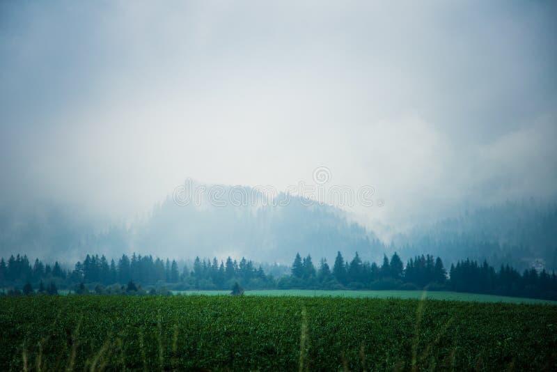 A beautiful misty Slovakian mountain scenery in Low Tatras