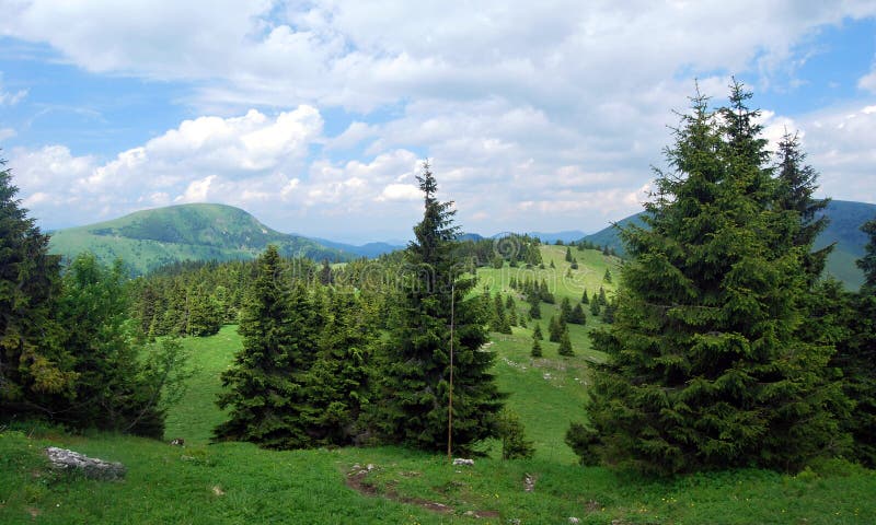 Beautiful mix of meadows and forest On the Velka Fatra Mts