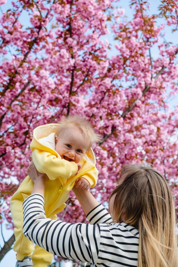 Un moment frumos mama ridicarea fiu sub flori de cireșe stock photo