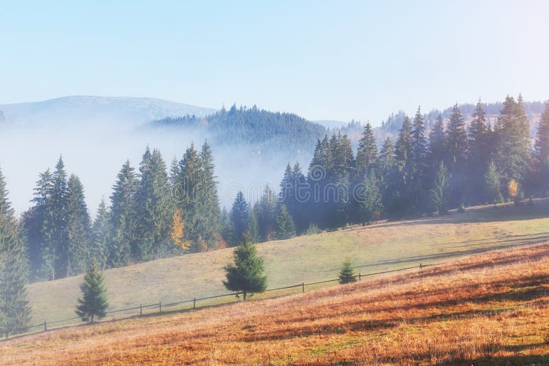 Beautiful Morning Fog And Sunbeams On The Mountain Slope In The Autumn