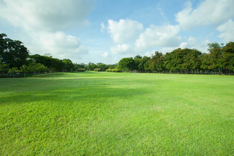 Beautiful morning light in public park with green grass field an royalty free stock image Beautiful morning light in public park with green grass field an royalty free stock image