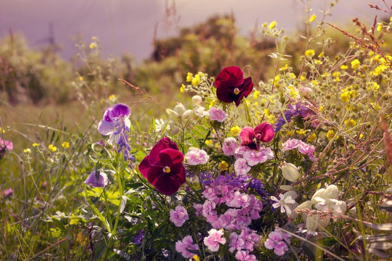 outdoor scenery near me outdoor scenery near me