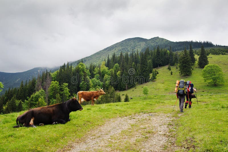 Beautiful Mountain Landscape. Stock Photo - Image of season, nature