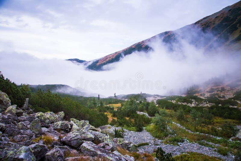 A beautiful mountain landscape with trees