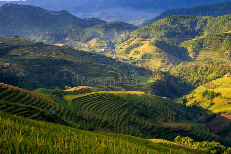 Beautiful mountain range with rice terrace when looking from the LA PAN TAN view point in Mu Cang Chai province  near Sapa province, North Vietnam. Beautiful mountain range with rice terrace when looking from the LA PAN TAN view point in Mu Cang Chai province  near Sapa province, North Vietnam