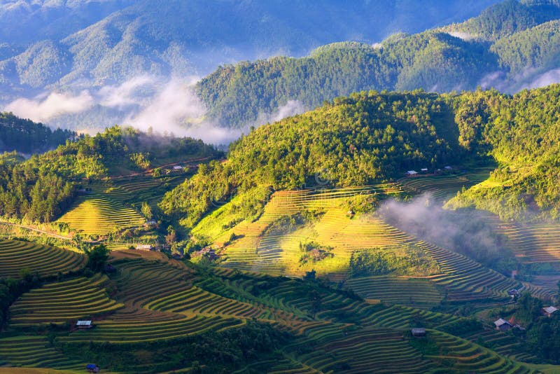 Beautiful mountain range with rice terrace when looking from the LA PAN TAN view point  in Mu Cang Chai province  near Sapa, north Vietnam. Beautiful mountain range with rice terrace when looking from the LA PAN TAN view point  in Mu Cang Chai province  near Sapa, north Vietnam