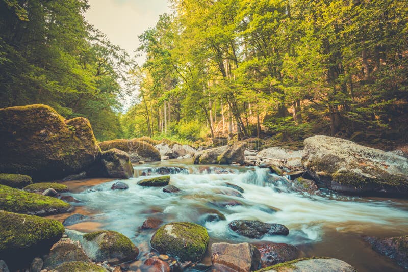 Beautiful Mountain River Stream Sunny Nature Background Of River And