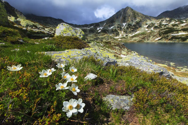 Beautiful mountain scenery in summer