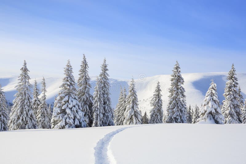 Beautiful mountain scenery. Winter landscape with trees in the snowdrifts, the lawn covered by snow with the foot path. New Year. And Christmas concept with stock photo Beautiful mountain scenery. Winter landscape with trees in the snowdrifts, the lawn covered by snow with the foot path. New Year. And Christmas concept with stock photo