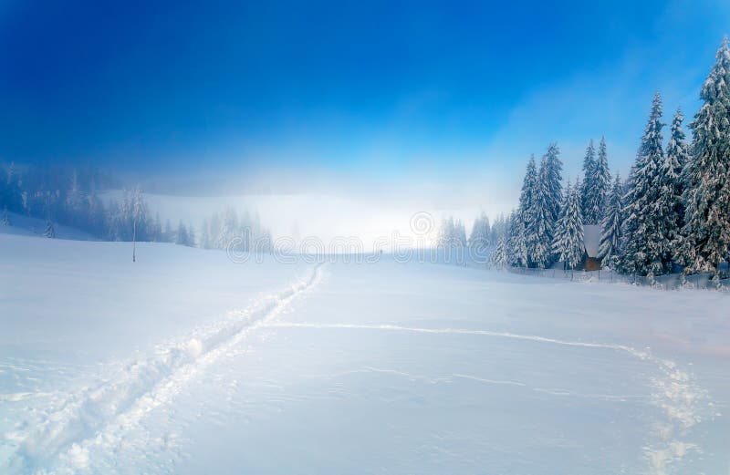 Beautiful mountain snowy landscape and snow covered trees and snowy paths in the snow. Beautiful sunny day in the