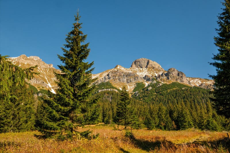 Krásné hory během podzimní sezóny se suchou trávou, krásnou modrou oblohou a hlubokými údolími.