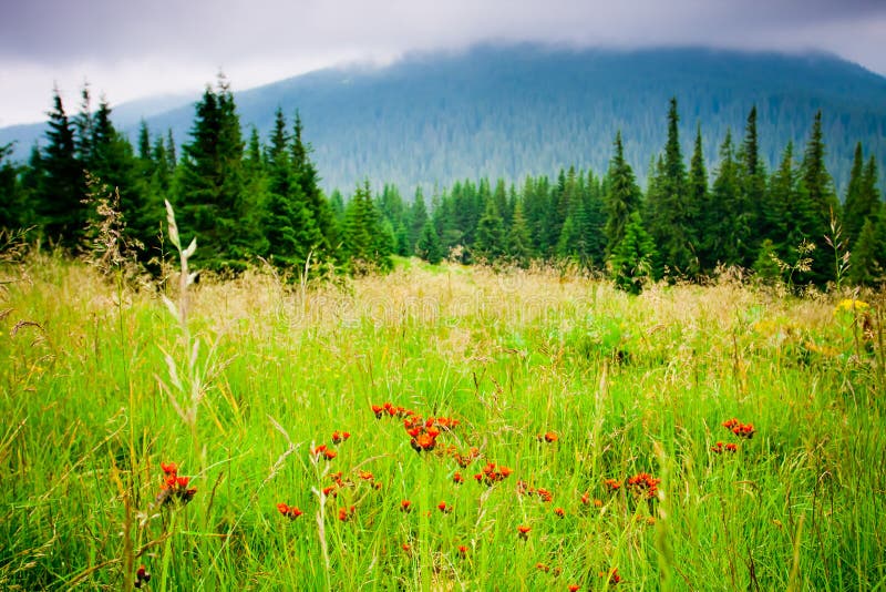 Beautiful mountains landscape