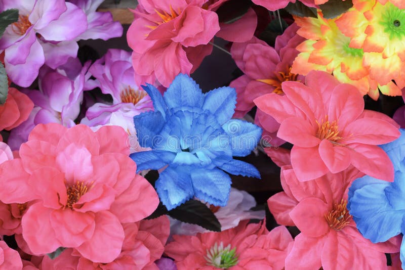Multicolored Artificial Flowers Background Stock Image Image of