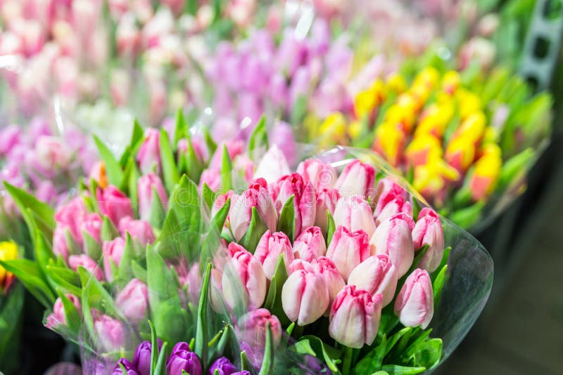 Lot of Multicolored Tulips Bouquets. Flower Market or Store. Wholesale ...