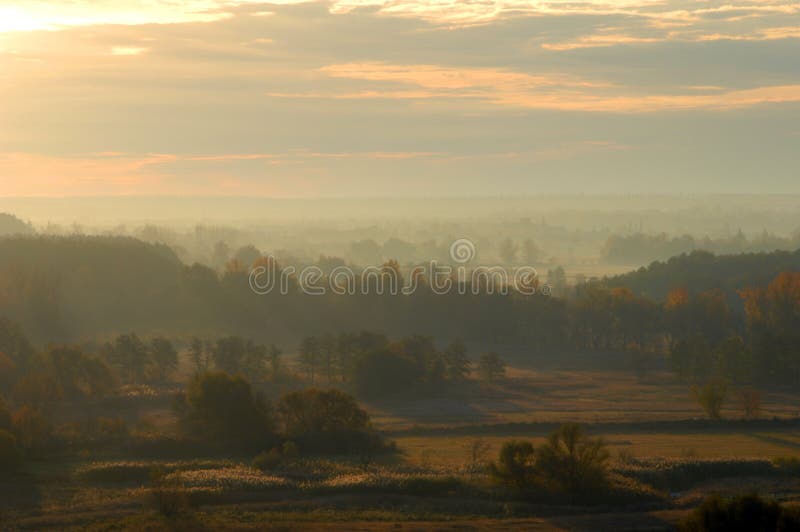 Beautiful mystical landscape in yellow colors