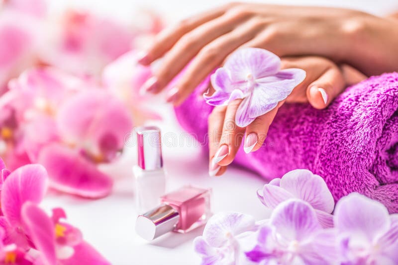 Beautiful Nail Manicure with Decoration from Pink Orchid Stock Image ...