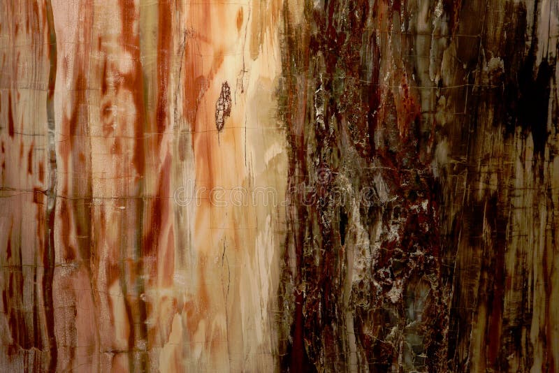 Beautiful natural background texture of nice petrified wood nice petrified wood in red and yellow colors stock photos Beautiful natural background texture of nice petrified wood nice petrified wood in red and yellow colors stock photos
