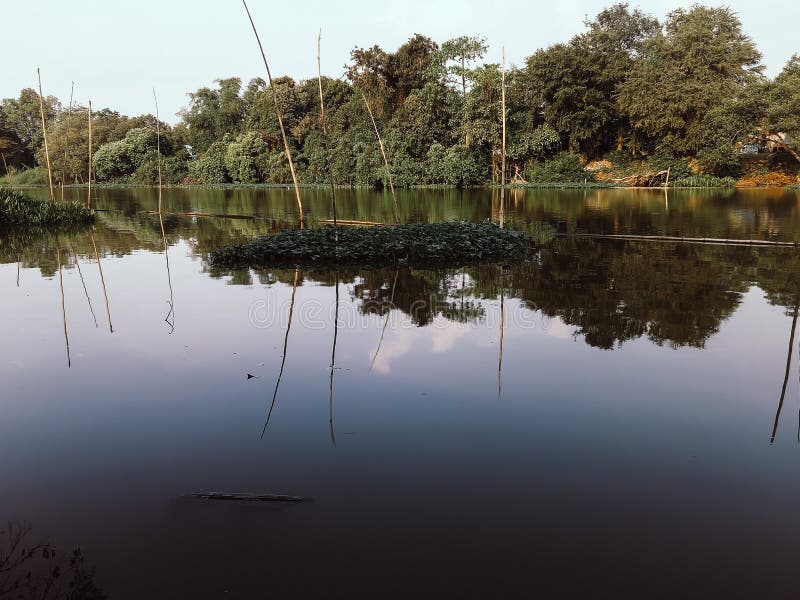 Beautiful natural scenery of river in Southeast Asia tropical green forest stock photography Beautiful natural scenery of river in Southeast Asia tropical green forest stock photography