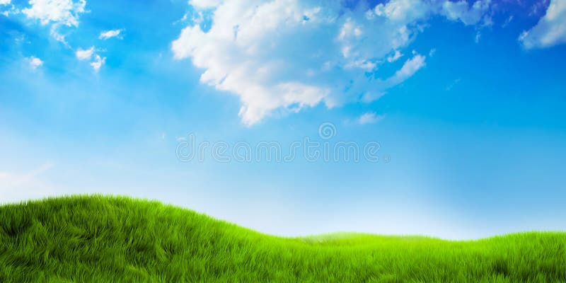 Beautiful nature background with green grass