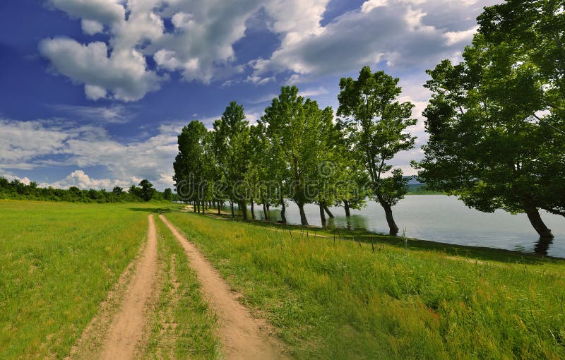 Beautiful Nature Background.Summer Green Landscape.Artistic Wallpaper.Relaxation,water,sky.Creative Photography.Travel,sun.Lake.