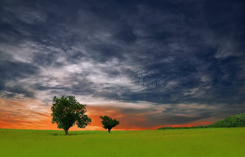 Beautiful Nature  Sunset  Sky Wallpaper. Creative ,tree,grass. Stock Photo - Image of blue,  banner: 219314824