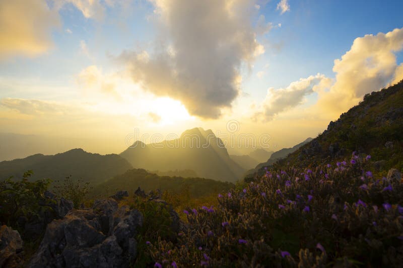 Beautiful nature background sunset at Doi Luang Chiangdao royalty free stock images Beautiful nature background sunset at Doi Luang Chiangdao royalty free stock images