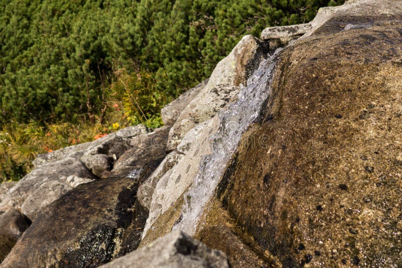 Nature of High Tatras mountains. Slovakia