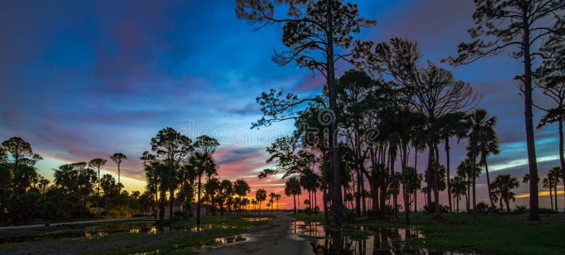 Beautiful nature on hunting island south carolina royalty free stock image Beautiful nature on hunting island south carolina royalty free stock image