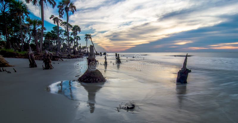 Beautiful nature on hunting island south carolina royalty free stock image Beautiful nature on hunting island south carolina royalty free stock image