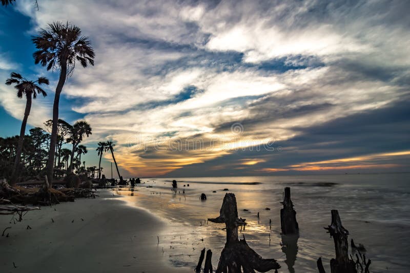 Beautiful nature on hunting island south carolina royalty free stock image Beautiful nature on hunting island south carolina royalty free stock image