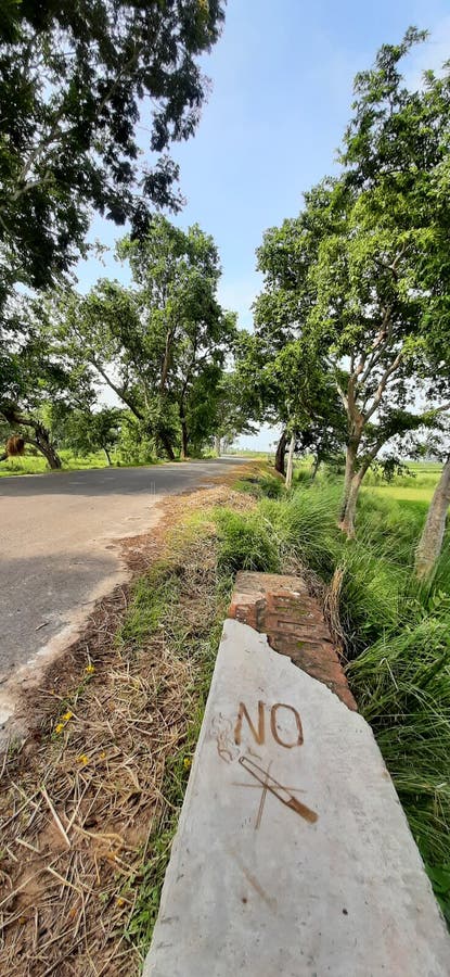 Beautiful nature images royalty free stock image