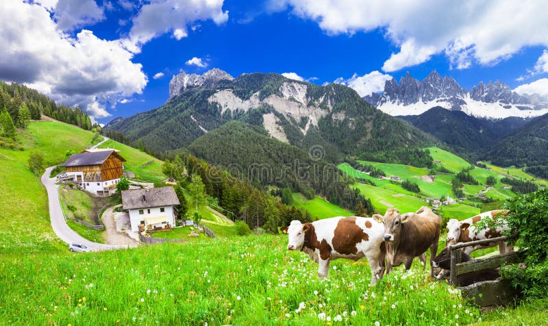 Beautiful nature landscapes - pastures of Dolomites