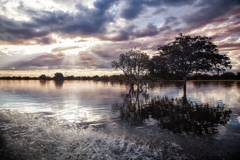 Beautiful nature lanscape. The tree reflection in the water over