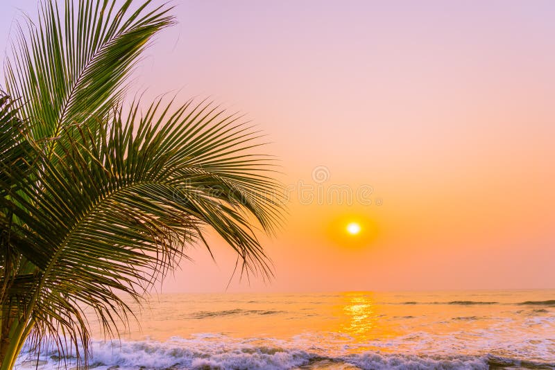 Beautiful Nature With Palm Tree Around Sea Ocean Beach At Sunset Or