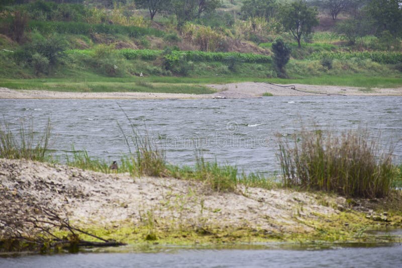 River Water and Green Grass Stock Photo Image of scenic, mountain