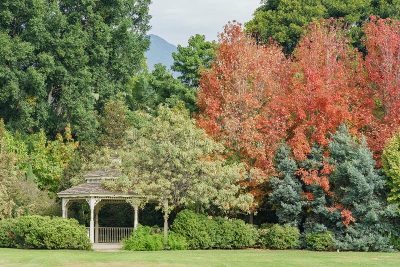 18 699 Angeles Los Nature Photos Free Royalty Free Stock Photos From Dreamstime 18 699 Angeles Los Nature Photos Free Royalty Free Stock Photos From Dreamstime