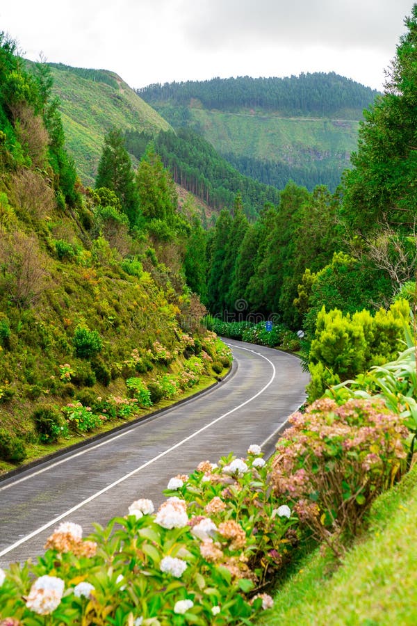 Beautiful nature view on Azores with small villages, tows, green nature fields. Beautiful nature view on Azores with small villages, tows, green nature fields.