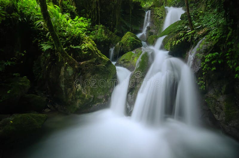 Beautiful Nature Waterfall In Deep Forest Stock Image Image Of Water