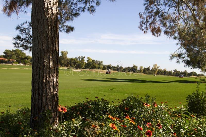 Beautiful new modern golf course fairway in Arizona