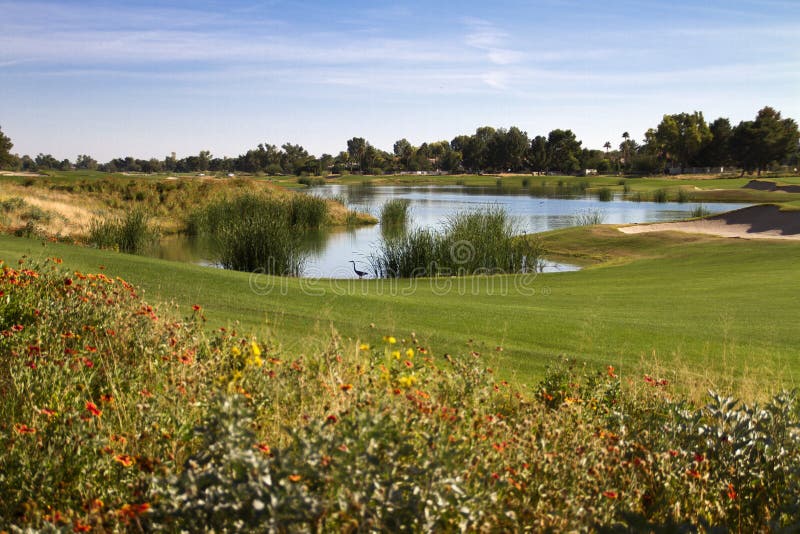 Beautiful new modern golf course fairway in Arizona