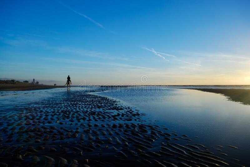 Beautiful night royalty free stock image