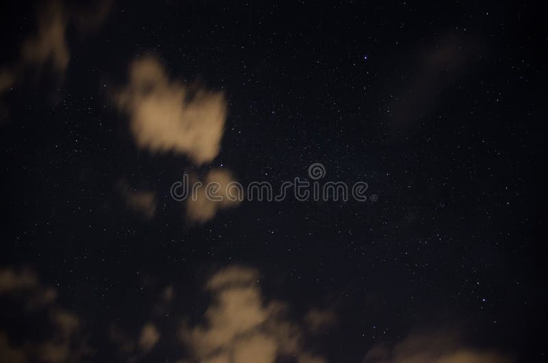 Beautiful Night Sky The Milky Way And The Trees Stock Photo Image Of