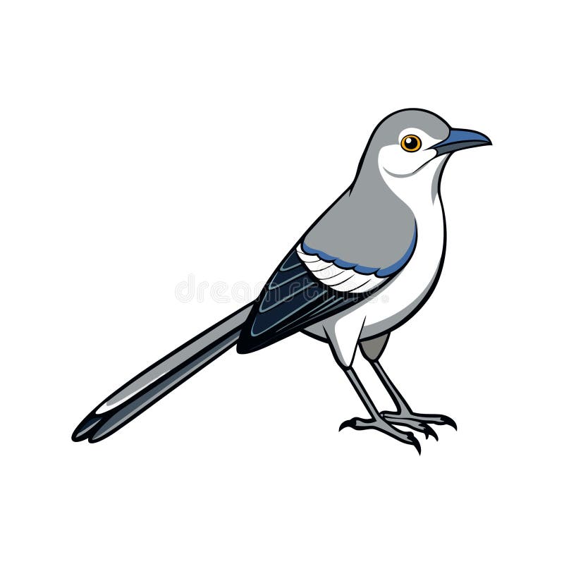 Mockingbird Flying Drawing