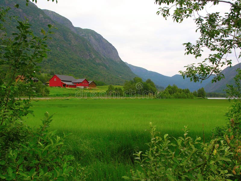 Beautiful Norway nature